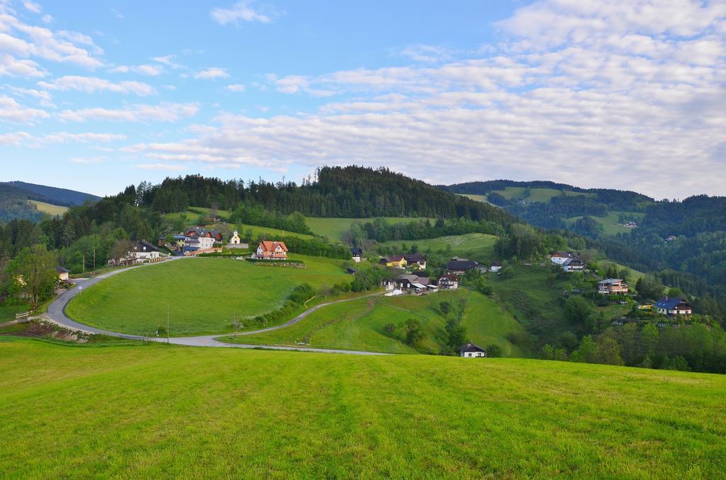 Ferienwohnungen Perhofer Birkfeld Exterior photo